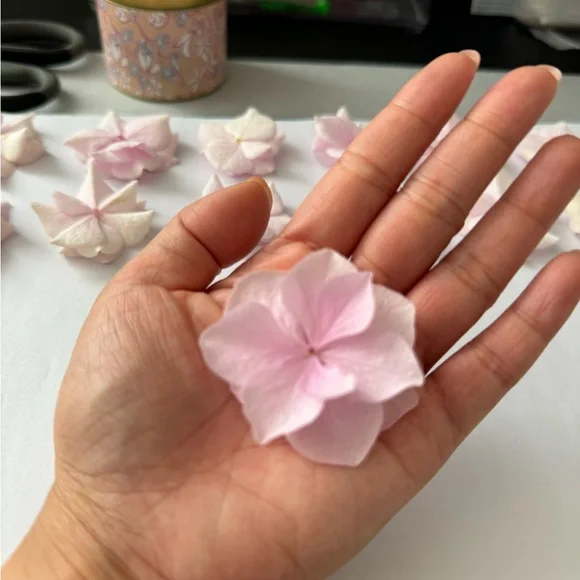 Real pressed flower art - hydrangea
